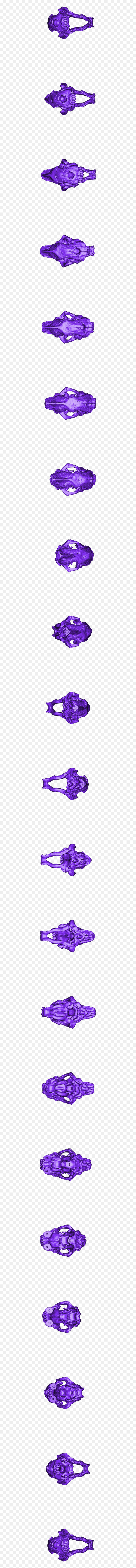 Lilac, HD Png Download - cat skull png