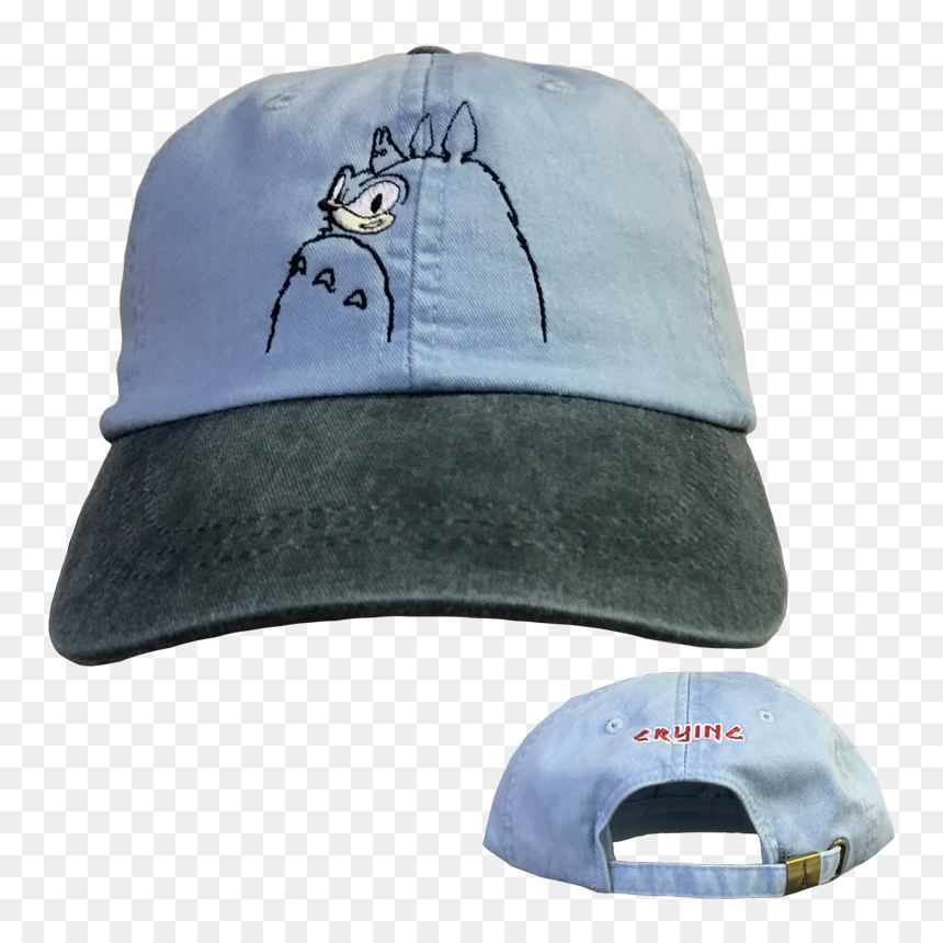 Crying Sonic Totoro Shirt, HD Png Download - sonic hat png