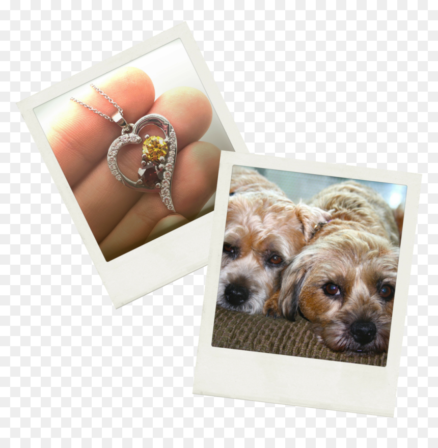 Diamond Dogs Png, Transparent Png - diamond dogs png
