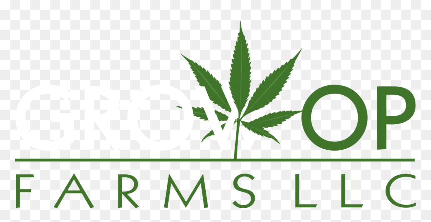 Cannabis Leaf, HD Png Download - cannabis plant png