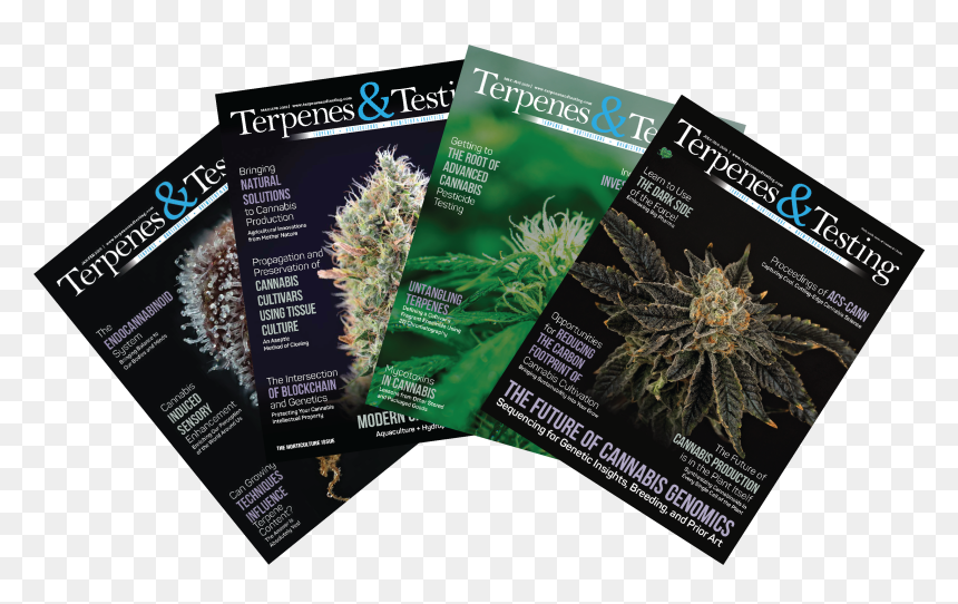 Colorado Spruce, HD Png Download - cannabis plant png