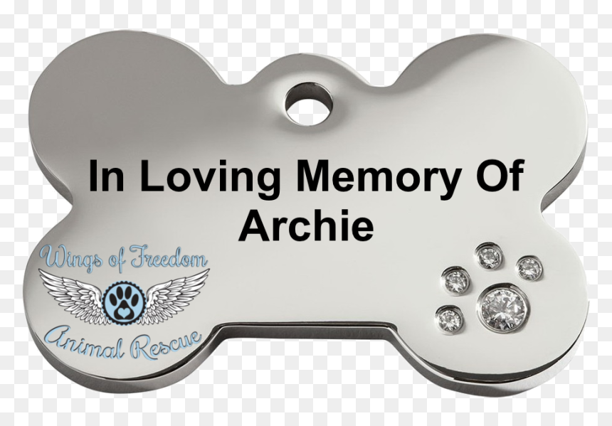Label, HD Png Download - rainbow bridge png
