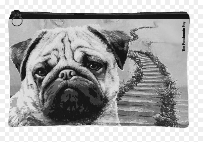 Pug, HD Png Download - rainbow bridge png