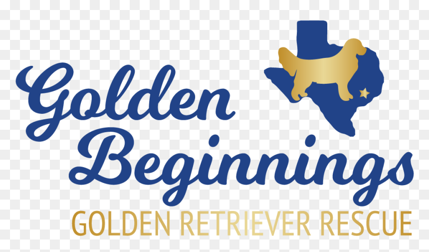 Golden Retriever, HD Png Download - rainbow bridge png