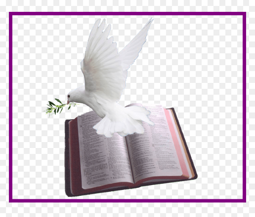 Holy Bible And Dove, HD Png Download - open holy bible png