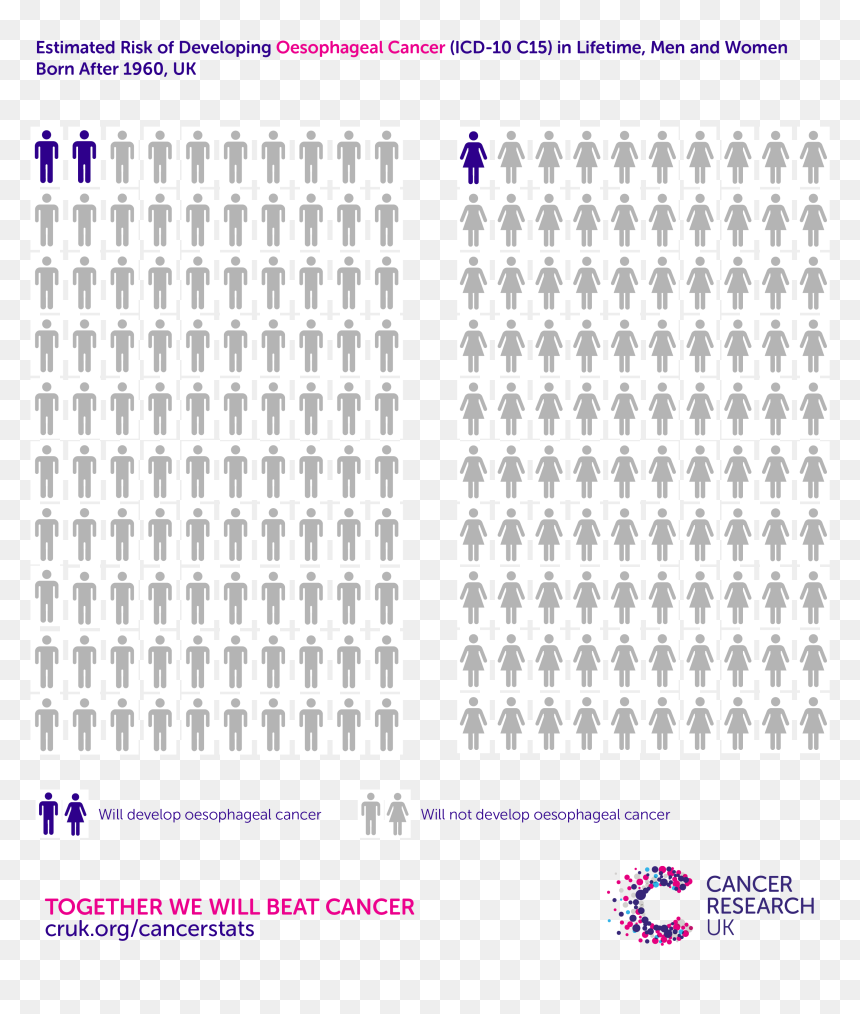 Azathioprine Risk Of Lymphoma, HD Png Download - esophagus png