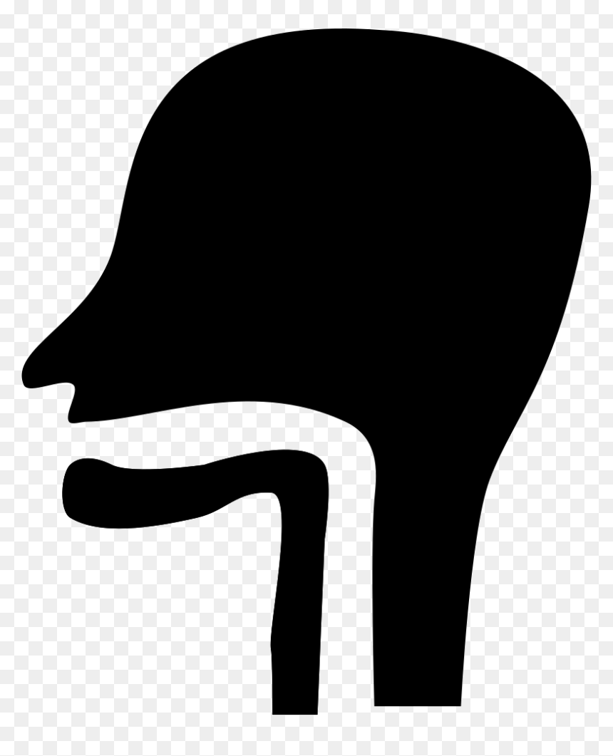 Clip Art, HD Png Download - esophagus png