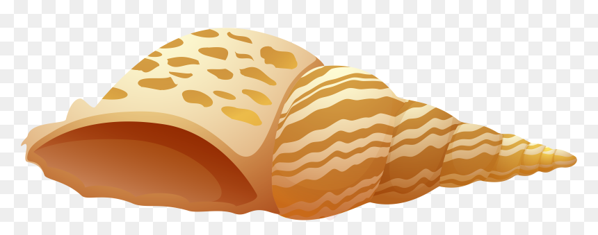 Clip Art Sea Shell Png, Transparent Png - summer png