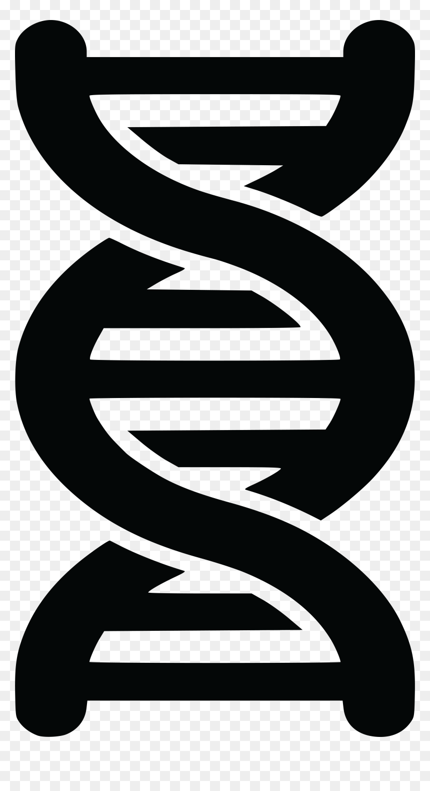 Dna Clipart Black And White, HD Png Download - dna png