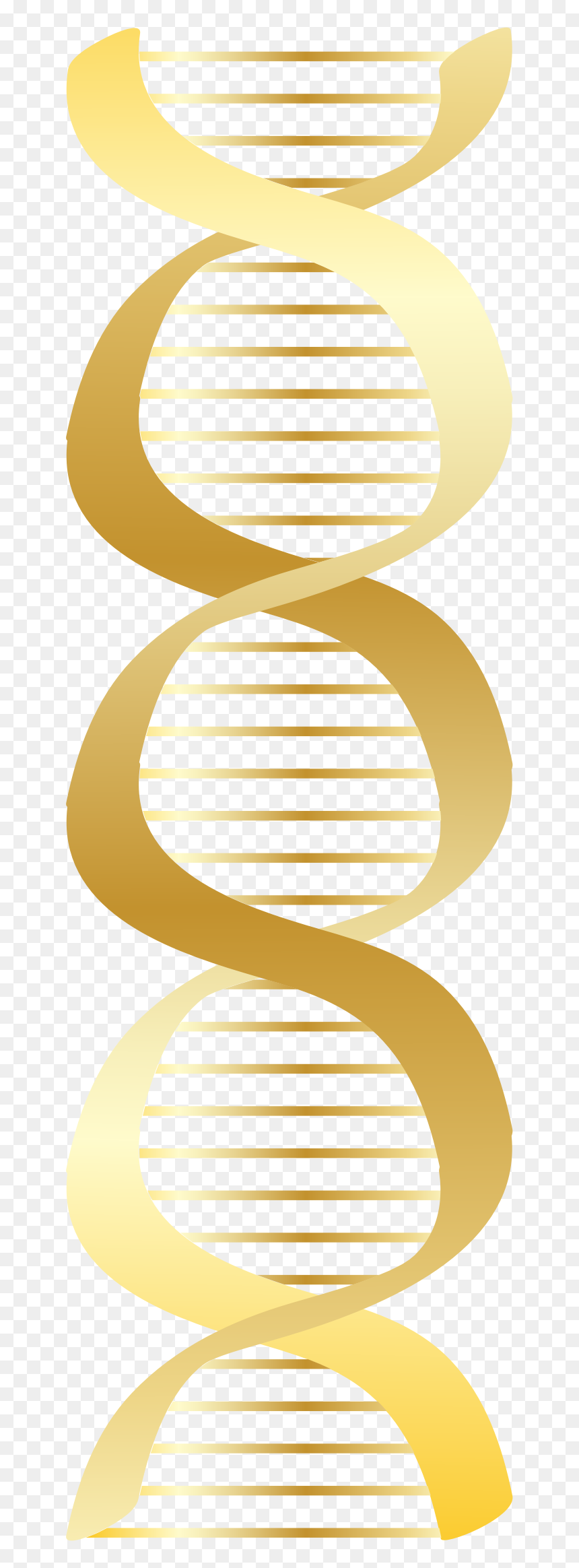 Dna Gold Clipart, HD Png Download - dna png