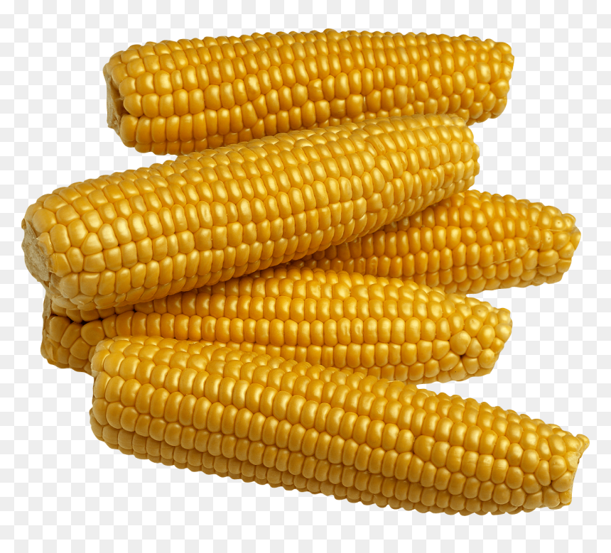 Corn For Kids, HD Png Download - corn png