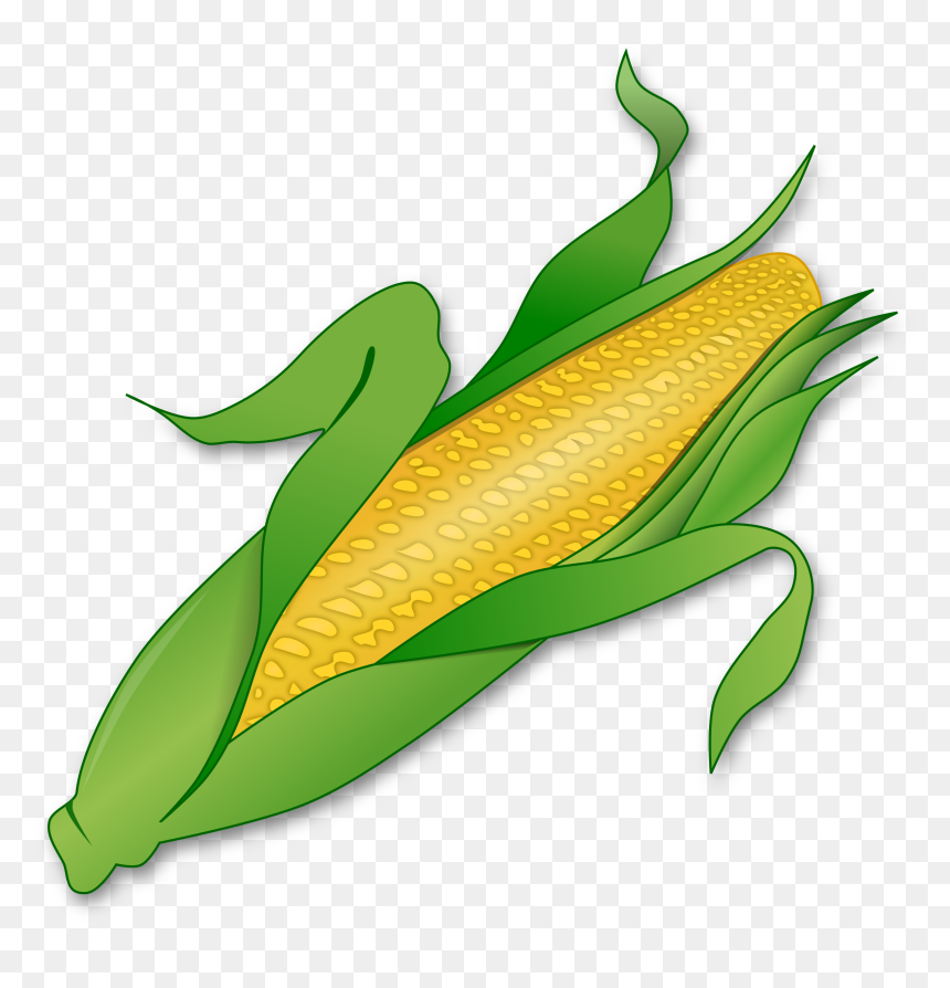 Free Clipart Corn, HD Png Download - corn png