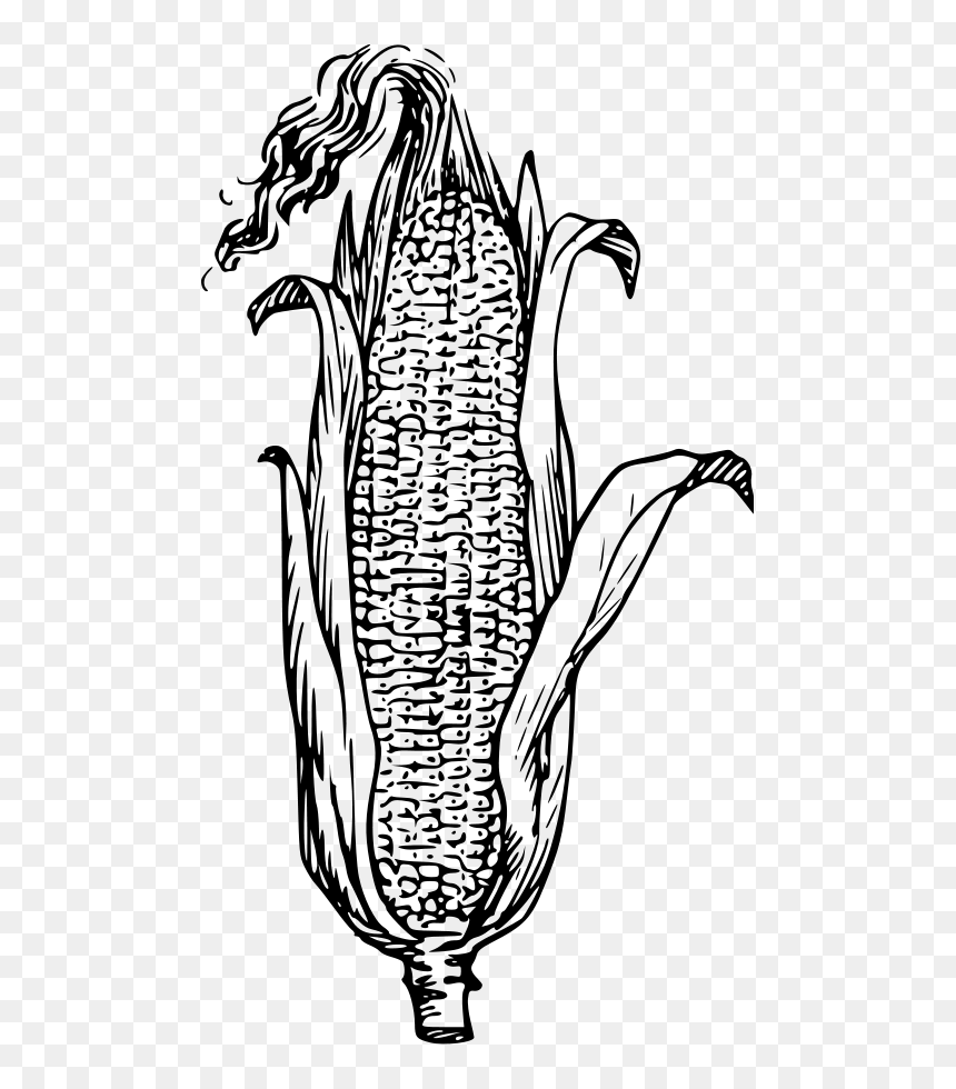 Corn Black And White, HD Png Download - corn png
