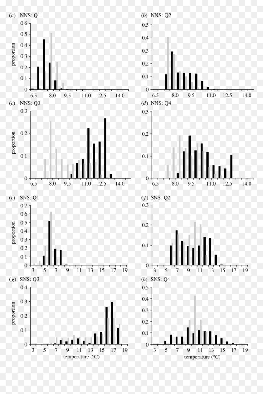 Document, HD Png Download - black bars png