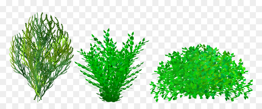 Bush Clip Art, HD Png Download - shrub png