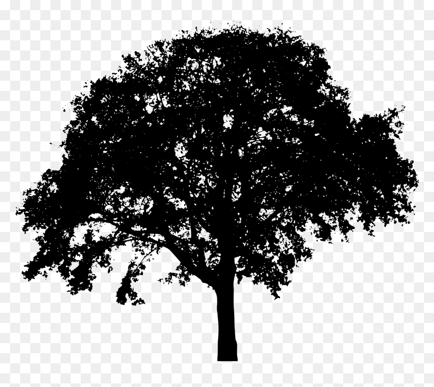 Tree Black Silhouette Png, Transparent Png - shrub png