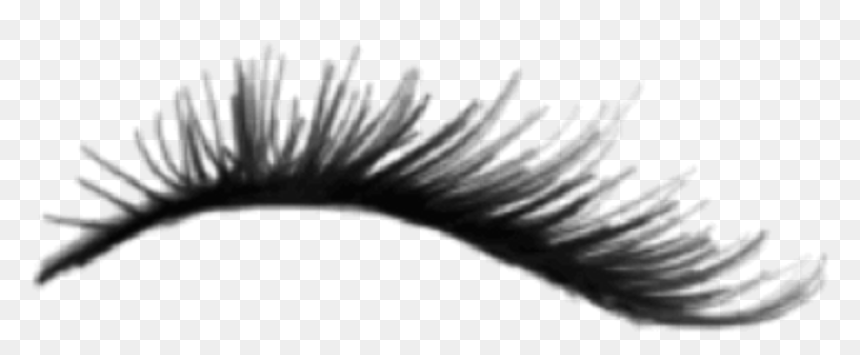 Eyelash Sticker, HD Png Download - eyelashes png
