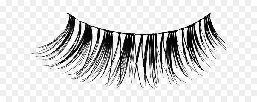 Transparent Transparent Background Eyelashes Png, Png Download - eyelashes png