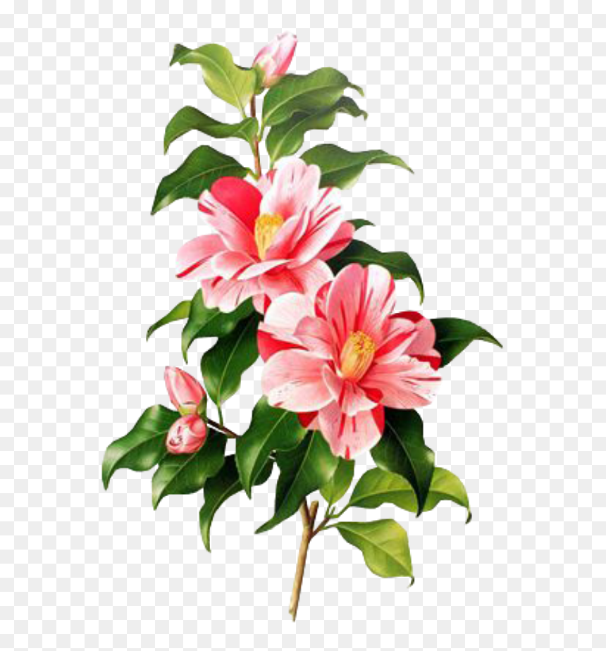 Overlays For Edits Png, Transparent Png - spring png