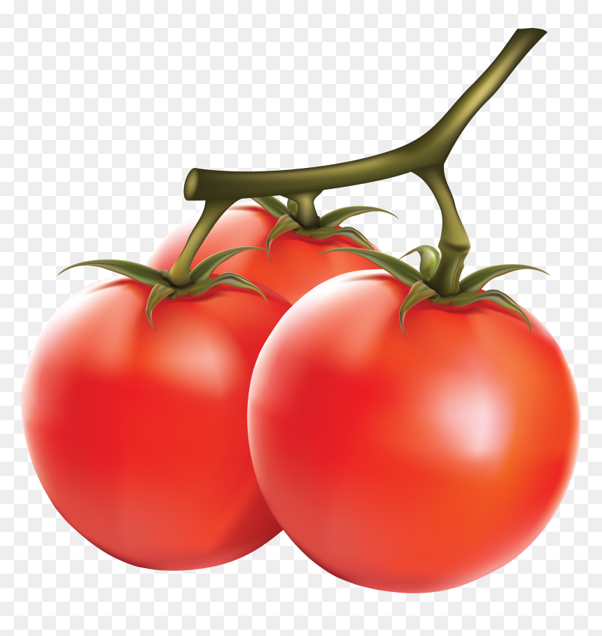Png Image Of Tomato, Transparent Png - tomato png