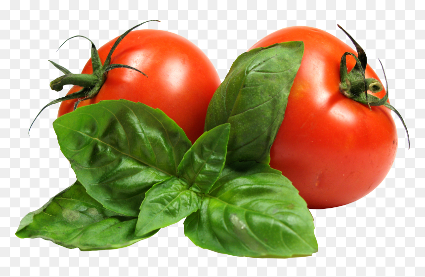 Transparent Vegetable Png, Png Download - tomato png