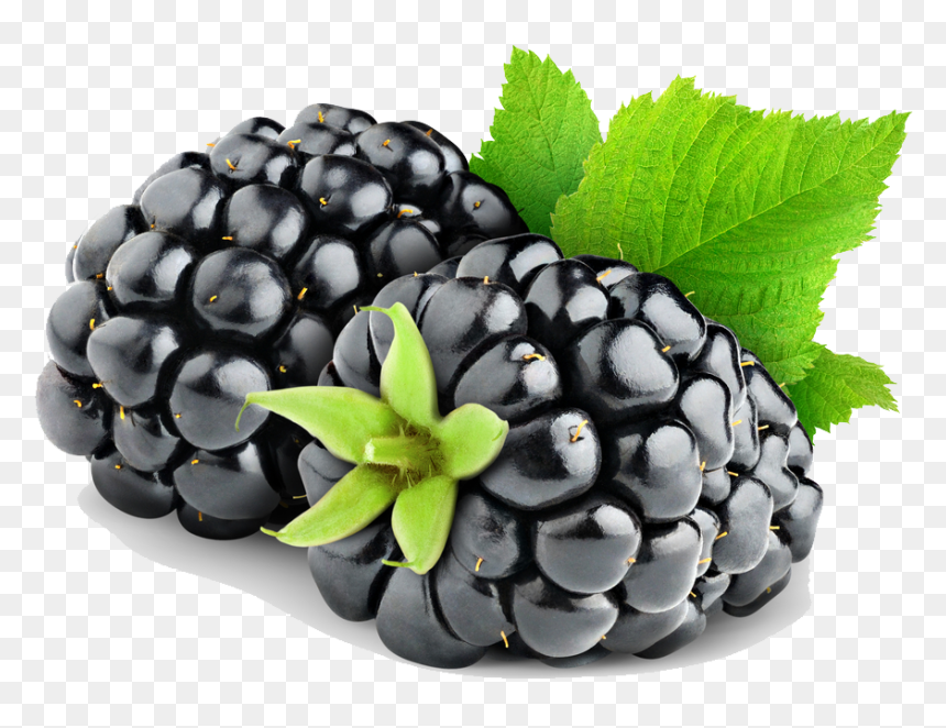Transparent Fruit, HD Png Download - fruit png
