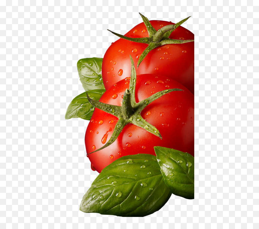 Tomato Leaves Png, Transparent Png - tomato png