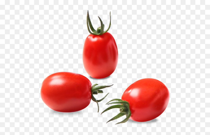 Plum Tomato, HD Png Download - tomato png
