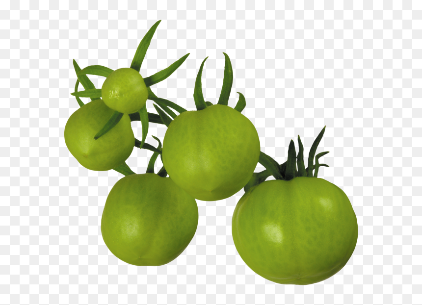 Green Tomatoes Transparent Background, HD Png Download - tomato png