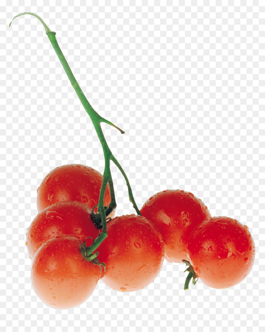 Tomato, HD Png Download - tomato png