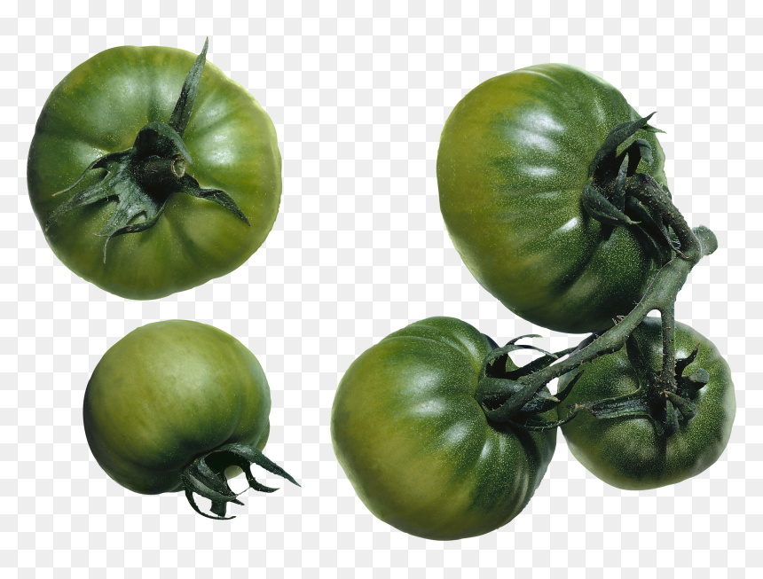 Green Tomato Png, Transparent Png - tomato png