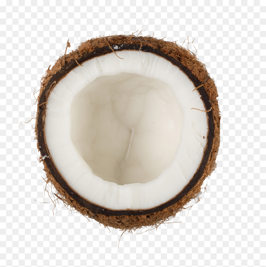 Coconut Png Transparent, Png Download - coconut png