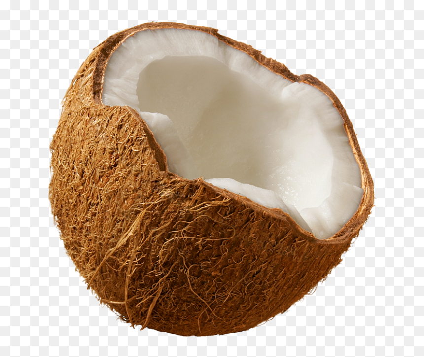 Coconut Png, Transparent Png - coconut png