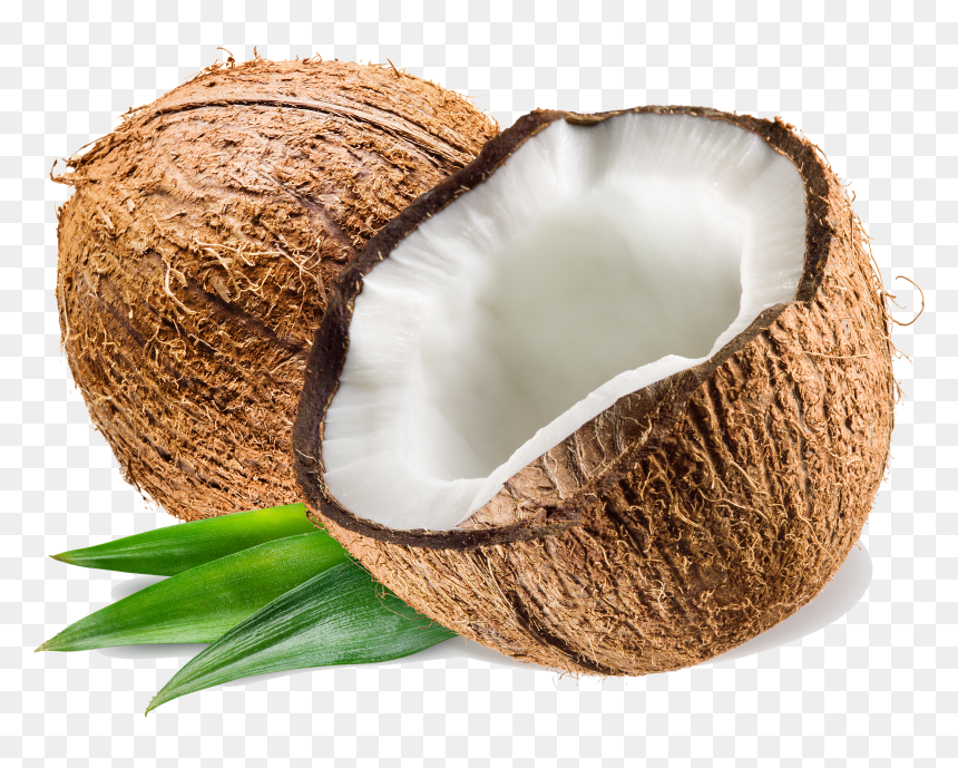 Coconut Png, Transparent Png - coconut png