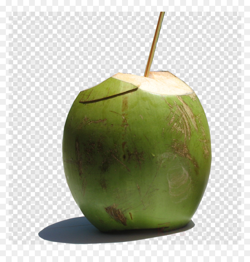 New Zealand Cricket Flag, HD Png Download - coconut png