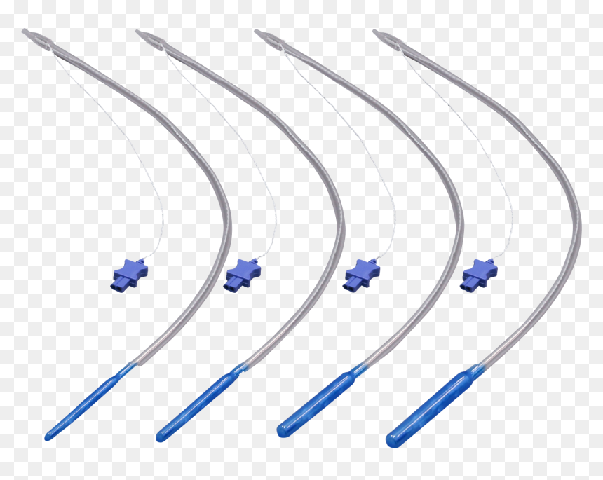 Arrow, HD Png Download - esophagus png