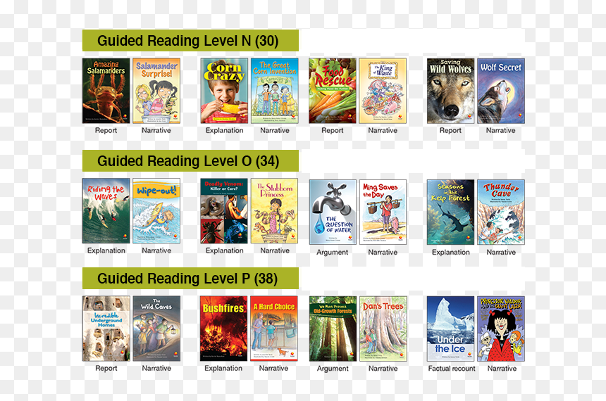 Flying Start Literacy, HD Png Download - flying books png