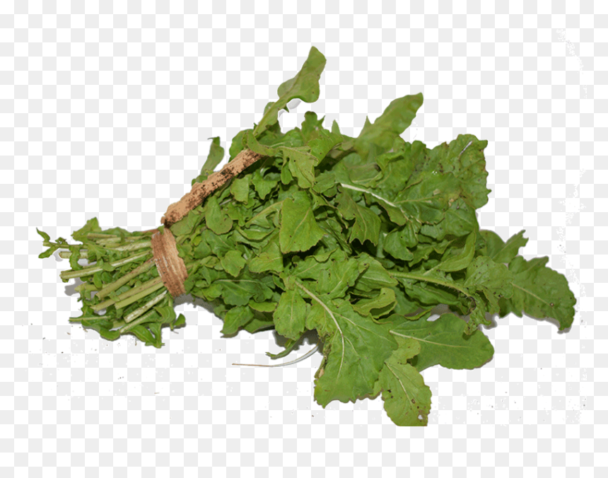 Parsley, HD Png Download - arugula png