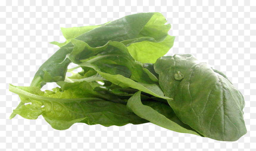 Zinc Vegan, HD Png Download - arugula png