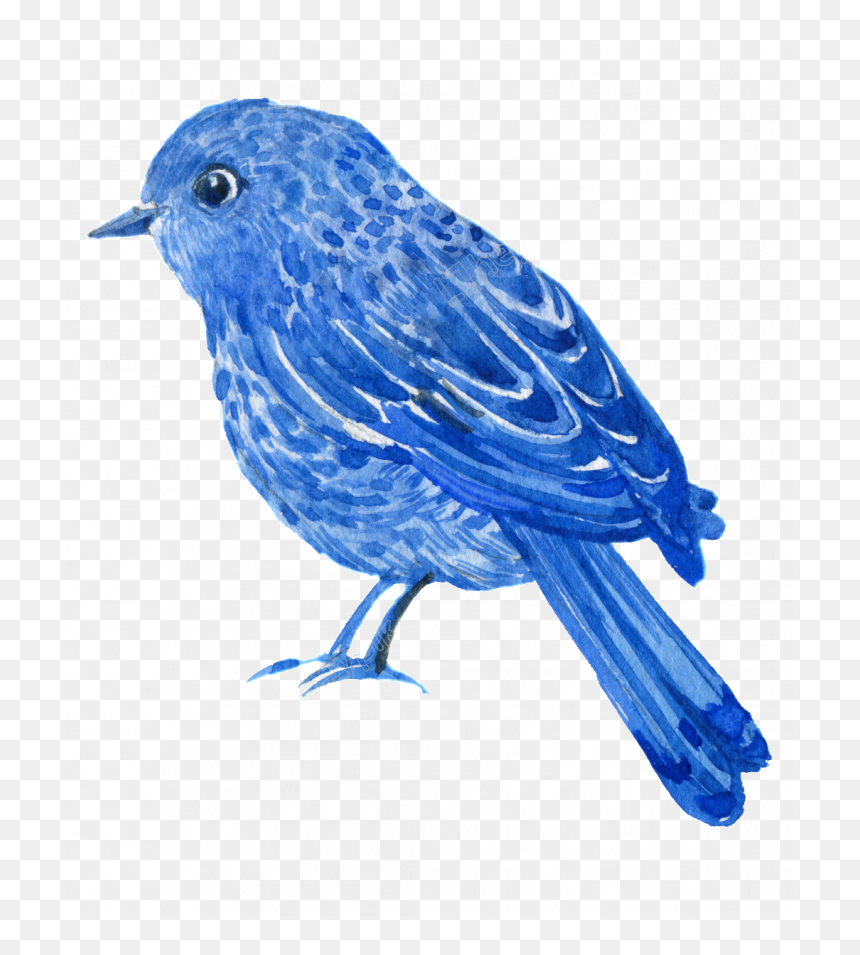 Mountain Bluebird, HD Png Download - flying books png