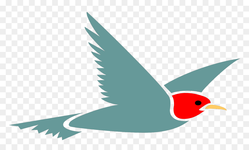 Flying Bird With Transparent Background, HD Png Download - fly flying png