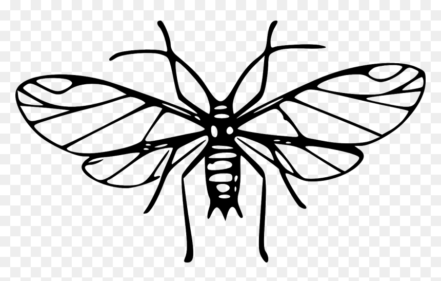 Mosquito Art Clip, HD Png Download - insect wings png
