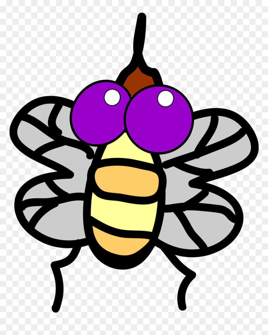 Fly Clip Art, HD Png Download - insect wings png
