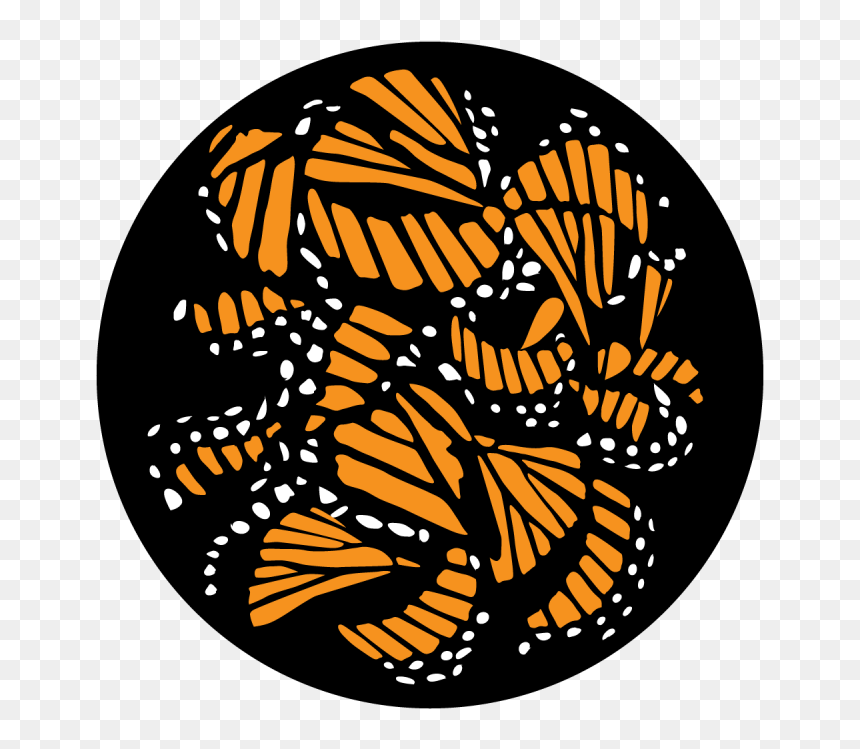 Clip Art, HD Png Download - insect wings png