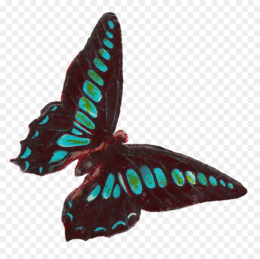 Blue Butterfly Victorian Png, Transparent Png - insect wings png