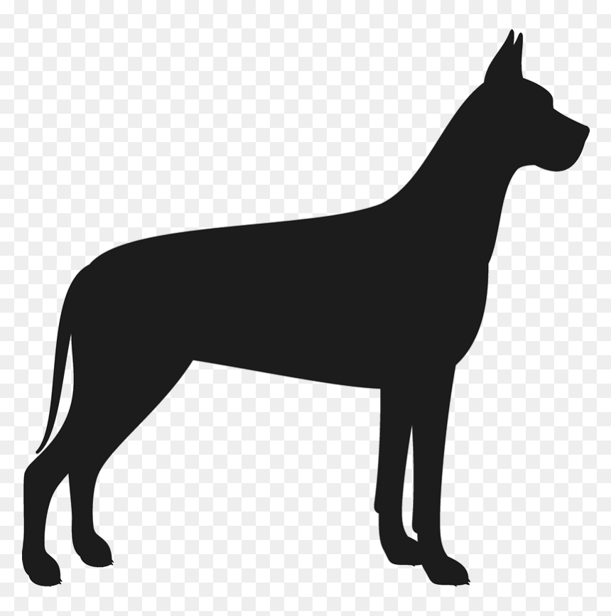 Great Dane Silhouette Transparent, HD Png Download - llama head png