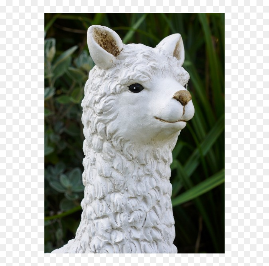 Llama, HD Png Download - llama head png