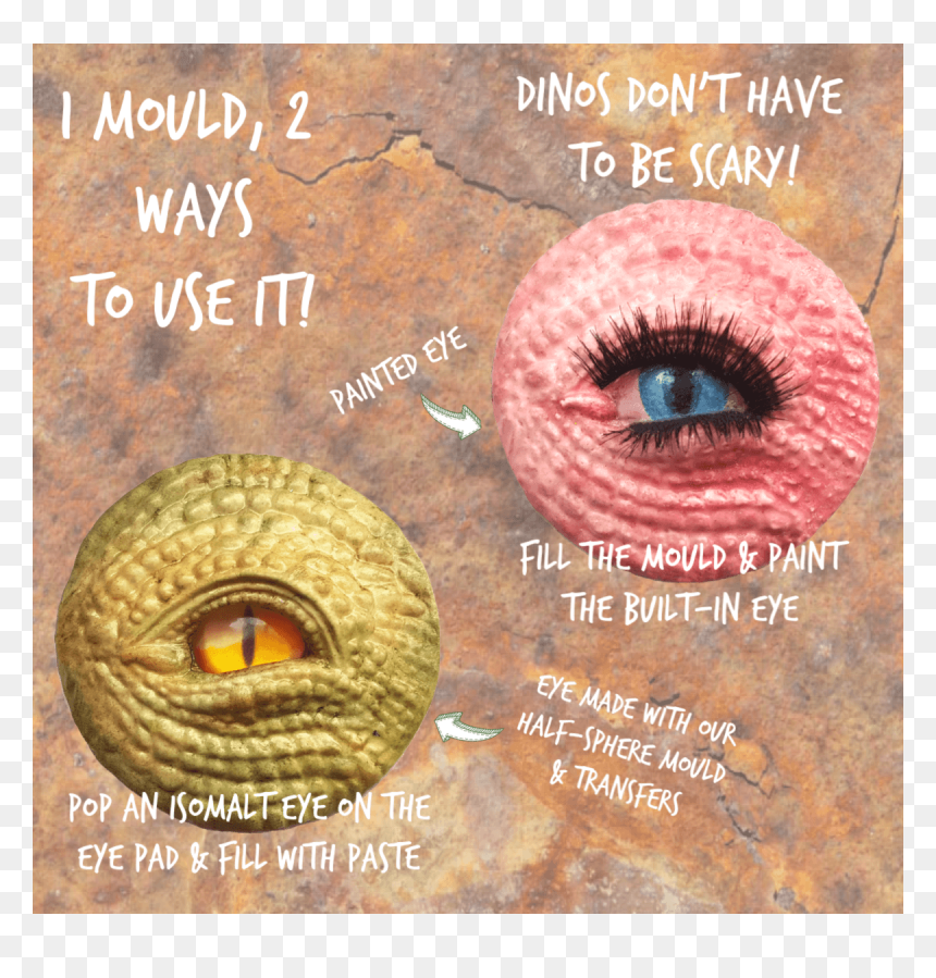 Poster, HD Png Download - reptile eye png