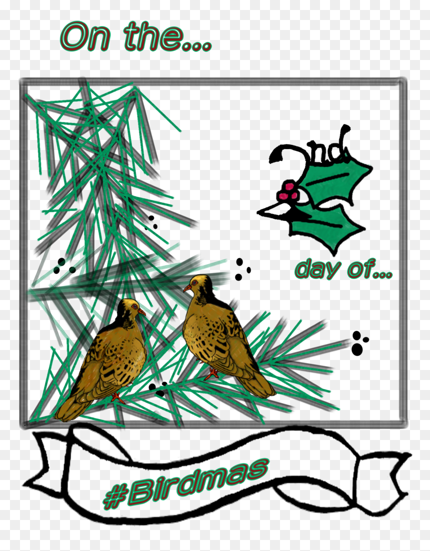 Illustration, HD Png Download - pear tree png