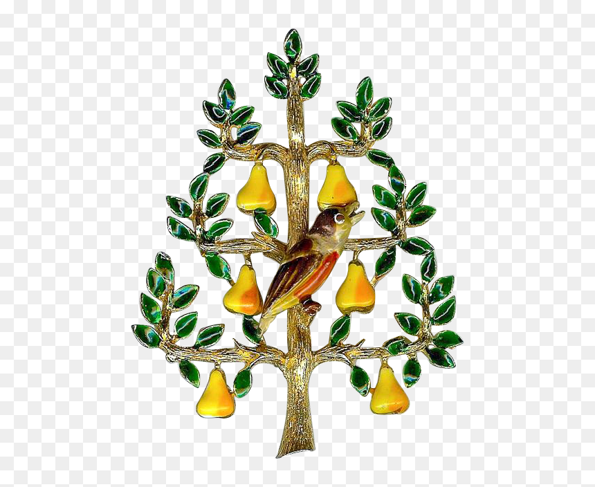 Sparrow, HD Png Download - pear tree png